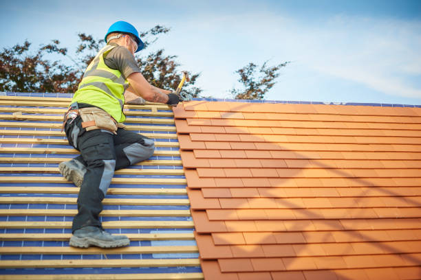 Best Skylight Installation and Repair  in North Eagle Butte, SD